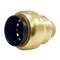 Apollo 3/4 in. Brass Push-To-Connect Cap with Drain FSBCAP34WD - alternate 3